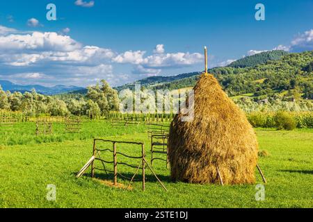 Campagne roumaine. Paysage rural roumain, une botte de foin, champ vert, montagnes et ciel bleu avec des nuages. Photographie prise dans le nord de la Roumanie. Banque D'Images