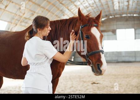 Utilisation d'un stéthoscope. Médecin féminin en manteau blanc est avec cheval sur une écurie. Banque D'Images