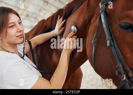 Écoute en utilisant le stéthoscope. Médecin féminin en manteau blanc est avec cheval sur une écurie. Banque D'Images