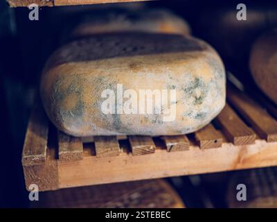 Les meules de fromage vieillies Mahon-Menorca sont exposées sur des étagères en bois, montrant leurs moules et textures caractéristiques, qui contribuent à leur fl unique Banque D'Images