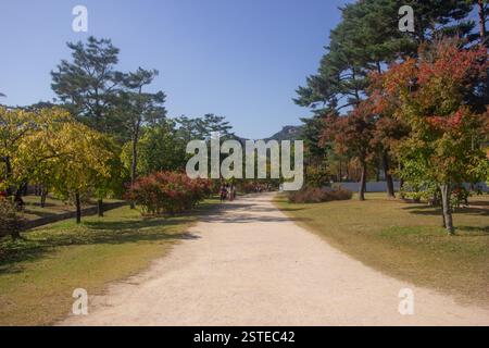 Paysages d'automne depuis les jardins du palais de Gyeongbokgung, avec feuillage coloré et paysages sereins. Banque D'Images