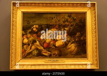 Paris, France - 02 23 2022 : Musée du Louvre. Fruits et animaux peints par Frans Snyders Banque D'Images