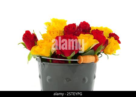 Seau avec des roses Banque D'Images