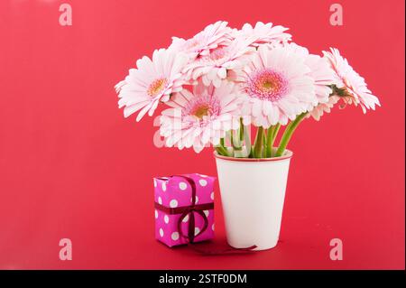 Gerber rose sur rouge Banque D'Images