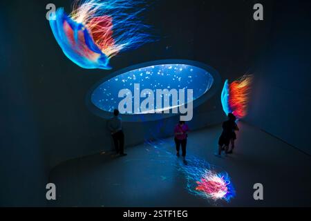 Prague, république tchèque - 28 juillet 2024 : exposition de méduses au Medusarium Pankrac de Prague Banque D'Images