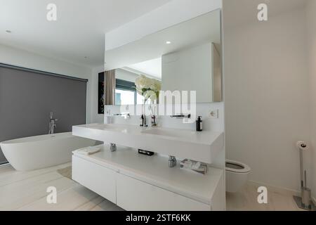 une image d'une salle de bain récemment rénovée avec baignoire sur pied dans l'immobilier méditerranéen de luxe Banque D'Images