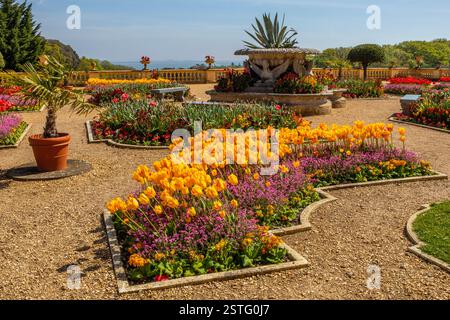 Île de Wight, Royaume-Uni - 3 mai 2023 : fleurs dans les jardins de la terrasse à la superbe maison Osborne - l'ancienne résidence de la reine Victoria I, situé dans Banque D'Images
