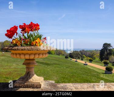 Île de Wight, Royaume-Uni - 3 mai 2023 : un pot de fleurs sculpté dans les jardins de terrasse à Osborne House - l'ancienne résidence de la reine Victoria I, situé Banque D'Images