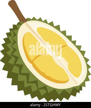 Fruit du Durian coupé en deux – superaliment tropical exotique, coquille verte épaisse, chair jaune crémeuse, délicatesse asiatique du Sud-est, Produc aromatique et nutritif Illustration de Vecteur