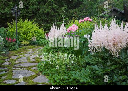 Chemin de dalles et frontières avec Berberis thunbergii 'Sunsation' - arbuste japonais de Barberry, Campanula takesimana 'Beautiful Trust' - Bellflowers, rose Banque D'Images