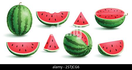 Jeu de cliparts en tranches de pastèque. Fruit de pastèque d'été sucré et savoureux dans la collection clip art entière, demi et quart de coupe pour la saison des fêtes juteuse Illustration de Vecteur