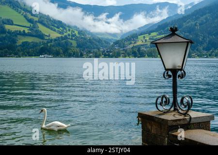 Lac Zell dans les Alpes autrichiennes, avec cygne, lampadaire et montagnes verdoyantes couvertes de nuages parsemées d'arbres et de maisons. Banque D'Images