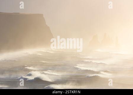 Vue sur les piles de mer près de la plage de Reynisfjara pendant le lever du soleil en hiver depuis Dyrholaey. Vík í Mýrdal, sud de l'Islande, Islande, Europe du Nord. Banque D'Images