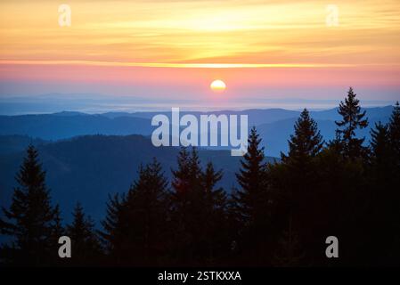 Coucher de soleil éclatant avec le soleil projetant un gradient chaud de jaune, orange et rose à travers le ciel. Des couches de montagnes lointaines créent une toile de fond, tandis que de grands pins au premier plan ajoutent de la profondeur à un paysage à couper le souffle Banque D'Images