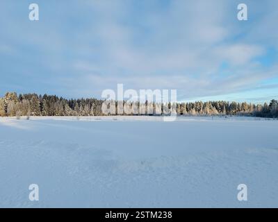 Winter scene showcasing a snowy field, frosted trees, and bright, clear skies in north Sweden Banque D'Images