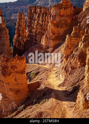 Les randonneurs montent sur un sentier pittoresque qui serpente à travers l'amphithéâtre emblématique du parc national de Bryce Canyon dans le sud de l'Utah, entouré d'imposants rochers rouges. Banque D'Images