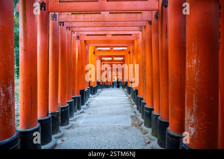 Sanctuaire Fushimi Inari, Kyoto, Japon Banque D'Images