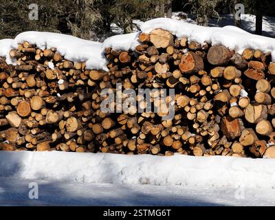 Une pile de bûches de bois découpées sous la neige dans la saison hivernale des dolomites Banque D'Images