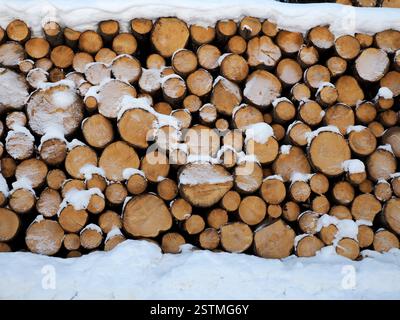Une pile de bûches de bois découpées sous la neige dans la saison hivernale des dolomites Banque D'Images