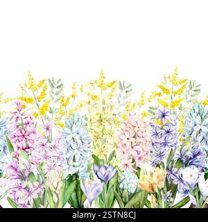Une bordure sans couture de fleurs de printemps. Jacinthes, croques et mimosa sont peints à la main à l'aquarelle sur fond blanc. L'illustration convient à la conception de cartes, d'emballages et de textiles. Banque D'Images