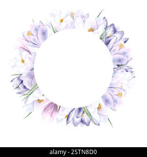 Une couronne de fleurs printanières. Jacinthes, croques et mimosa sont peints à la main à l'aquarelle sur fond blanc. L'illustration convient à la conception de cartes, à l'emballage et aux textiles Banque D'Images
