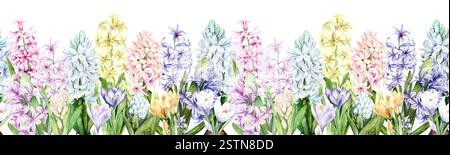 Une bordure sans couture de fleurs de printemps. Jacinthes, croques et mimosa sont peints à la main à l'aquarelle sur fond blanc. L'illustration convient à la conception de cartes, d'emballages et de textiles Banque D'Images