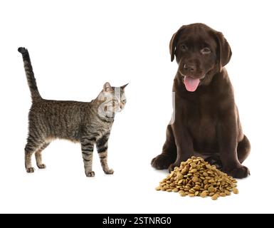 Chat et chien près de pile de nourriture pour animaux de compagnie sur fond blanc Banque D'Images