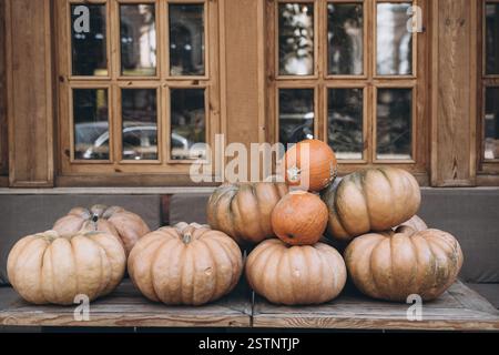De nombreuses grandes citrouilles orange sur la place . Automne décoration de la rue. Banque D'Images