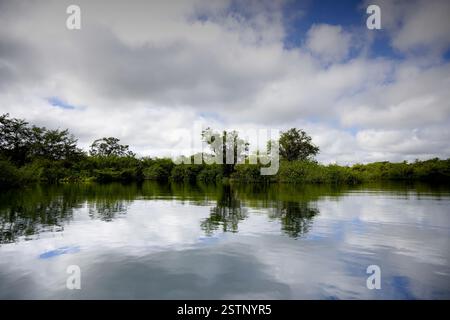 La splendide eau du cratère Azul près de Flores, Guatemala Banque D'Images