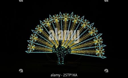 Mainau, Allemagne - 27 décembre 2023 : un jardin de Noël - événement de Noël avec de belles créations lumineuses et illuminations sur l'île de Mainau Banque D'Images