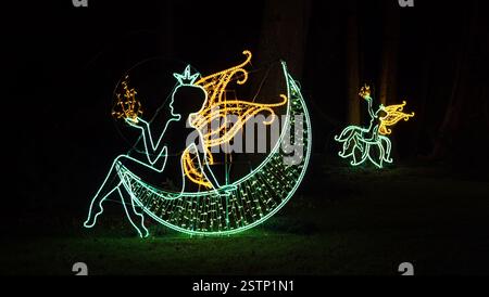 Mainau, Allemagne - 27 décembre 2023 : un jardin de Noël - événement de Noël avec de belles créations lumineuses et illuminations sur l'île de Mainau Banque D'Images