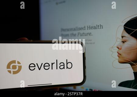 Roosendaal, pays-Bas - 19 février 2025 : un téléphone portable affichant le logo d'Everlab, avec le site Web de l'entreprise en arrière-plan. Banque D'Images