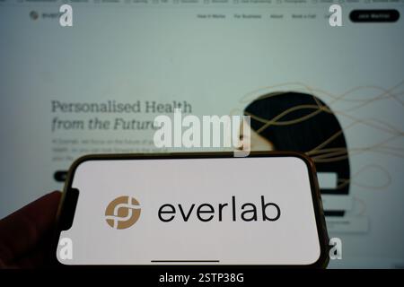 Roosendaal, pays-Bas - 19 février 2025 : un téléphone portable affichant le logo d'Everlab, avec le site Web de l'entreprise en arrière-plan. Banque D'Images