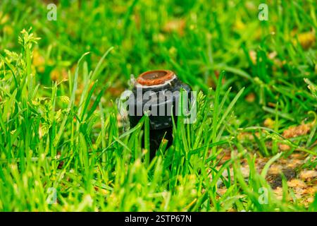 Petite tête de gicleur de système d'irrigation automatique se cache dans une herbe Banque D'Images