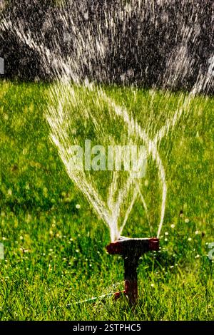 Système agricole d'arrosage de gazon fonctionnant. L'eau floue vole dans l'air Banque D'Images