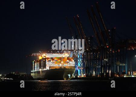 Hambourg, Allemagne. 19 février 2025. Un porte-conteneurs est chargé et déchargé au Container terminal Tollerort dans le port de Hambourg. Crédit : Marcus Brandt/dpa/Alamy Live News Banque D'Images