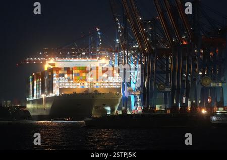 Hambourg, Allemagne. 19 février 2025. Un porte-conteneurs est chargé et déchargé au Container terminal Tollerort dans le port de Hambourg. Crédit : Marcus Brandt/dpa/Alamy Live News Banque D'Images