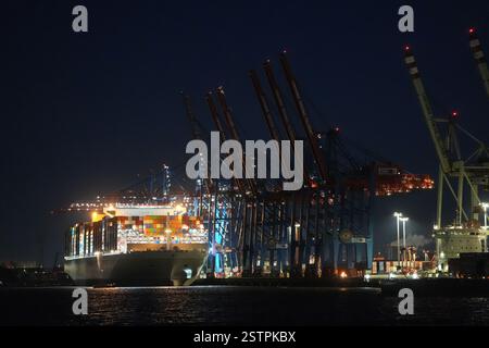 Hambourg, Allemagne. 19 février 2025. Un porte-conteneurs est chargé et déchargé au Container terminal Tollerort dans le port de Hambourg. Crédit : Marcus Brandt/dpa/Alamy Live News Banque D'Images