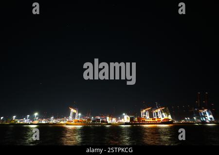 Hambourg, Allemagne. 19 février 2025. Les porte-conteneurs sont chargés et déchargés au terminal à conteneurs Burchardkai, dans le port de Hambourg. Crédit : Marcus Brandt/dpa/Alamy Live News Banque D'Images