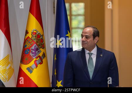 Madrid, Espagne. 19 février 2025. Le président de l'Egypte, Abdelfattah al-Sissi a vu lors d'une réunion officielle avec le président du gouvernement espagnol, Pedro Sánchez au Palais Moncloa à Madrid. Crédit : SOPA images Limited/Alamy Live News Banque D'Images