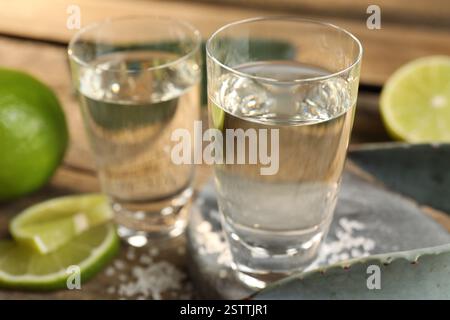 Coups de tequila avec du sel, des citrons verts et des feuilles d'agave sur la table, gros plan Banque D'Images