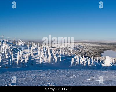 Kuusamo, Finlande : magnifique vue vers le nord depuis le sommet de Saarua à Ruka sur la Laponie par une belle journée de février Banque D'Images