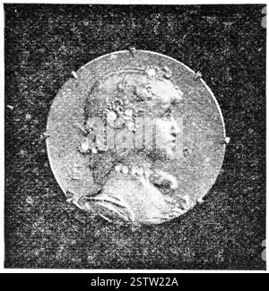 Broche incrustée de diamants. Maison de commerce française printemps. Illustration du XIXe siècle. Banque D'Images