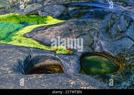 Socle noir sur une côte rocheuse avec nid de poule glaciaire dans la roche Banque D'Images