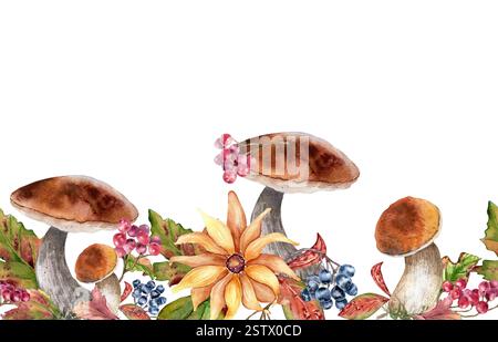 Champignons porcini avec fleur jaune et baies rouges sur la frontière sans couture d'automne à l'aquarelle isolé sur blanc. Aster jaune et douleur de chokeberry noir Banque D'Images