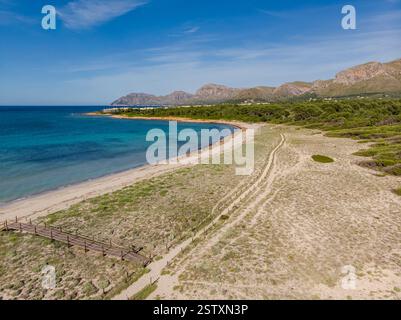 Chemin en bois pour protéger les dunes Banque D'Images