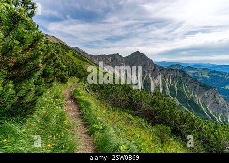 Magnifique tour de montagne à Bad Hindelang jusqu'au sommet de Breitenberg et Rotspitze avec une courte via ferrata sur le Hohe Gaenge Banque D'Images
