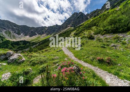 Magnifique tour de montagne à Bad Hindelang jusqu'au sommet de Breitenberg et Rotspitze avec une courte via ferrata sur le Hohe Gaenge Banque D'Images