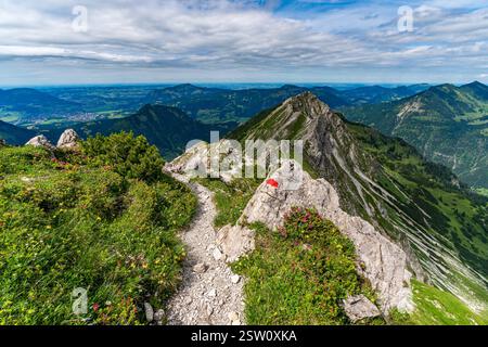Magnifique tour de montagne à Bad Hindelang jusqu'au sommet de Breitenberg et Rotspitze avec une courte via ferrata sur le Hohe Gaenge Banque D'Images