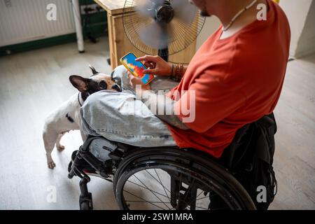 Homme handicapé en fauteuil roulant regarde les prévisions météorologiques sur l'écran du téléphone, s'assoit par ventilateur avec le chien à la maison. Banque D'Images